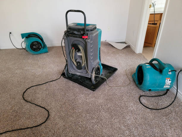 Best Carpet water damage restoration  in Wyoming, MN