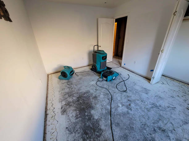 Trusted Wyoming, MN Water damage restoration Experts