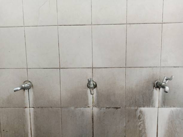 Best Flood restoration services  in Wyoming, MN