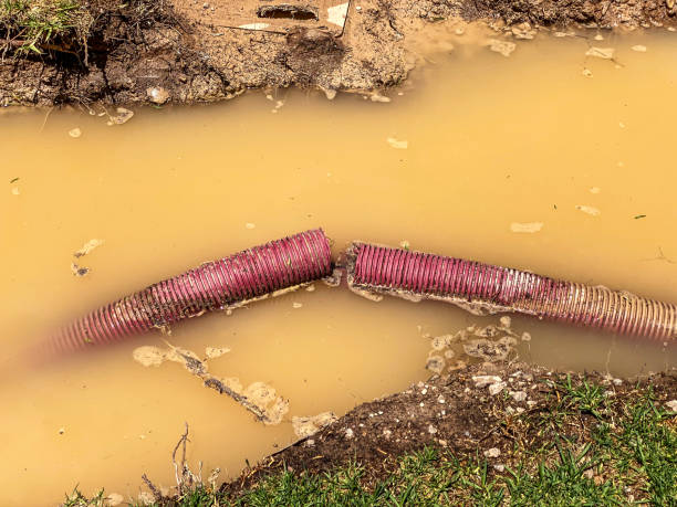 Best Water damage repair service  in Wyoming, MN