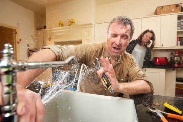 Best Water damage restoration process  in Wyoming, MN